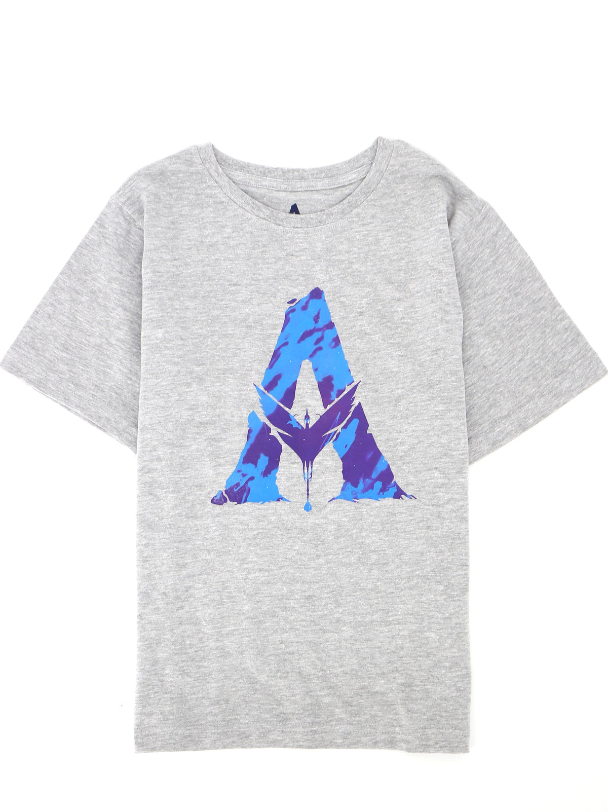 Image for Kids Boy Brand Logo Printed T-Shirt,Grey