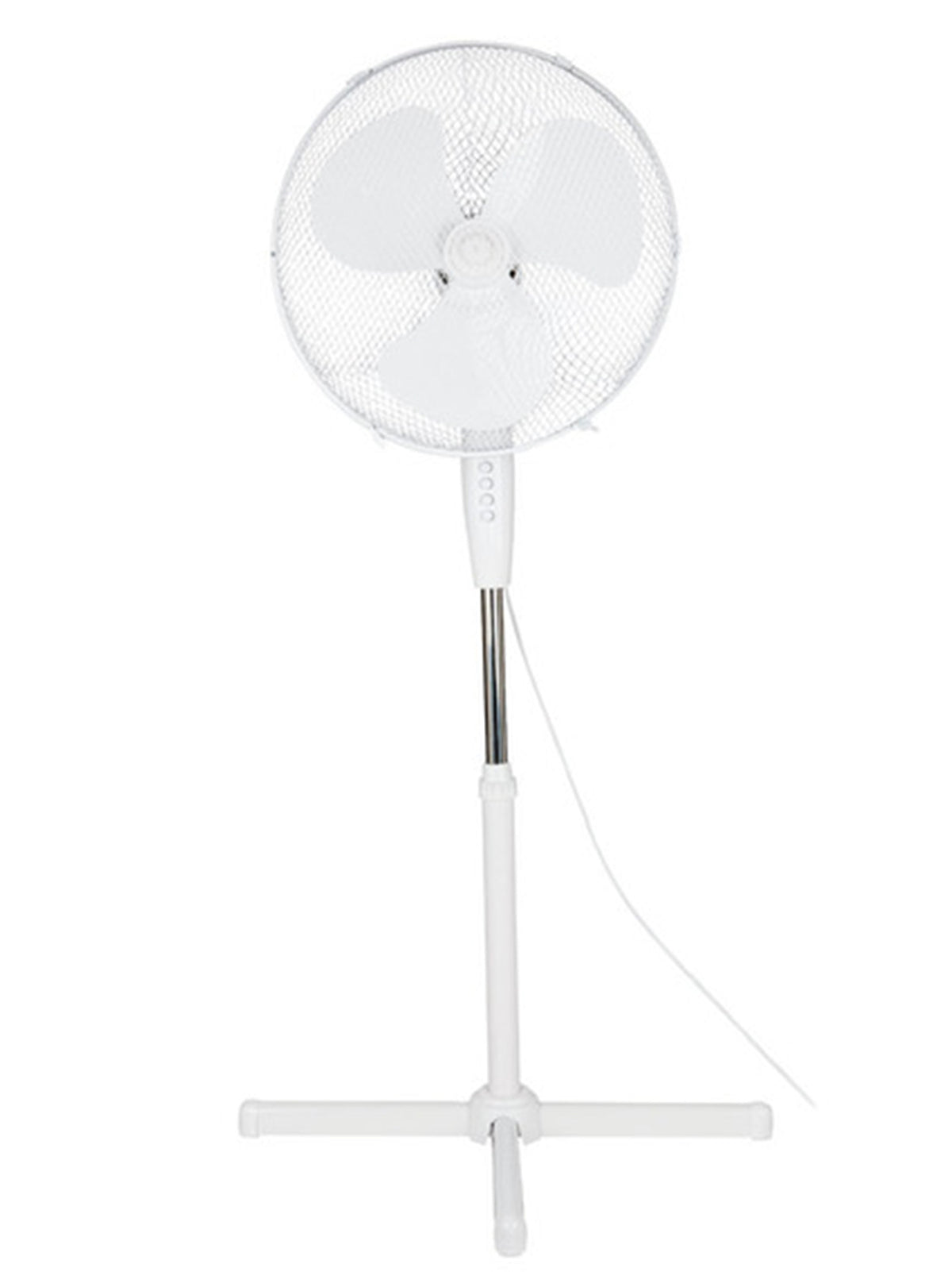 Image for Fan