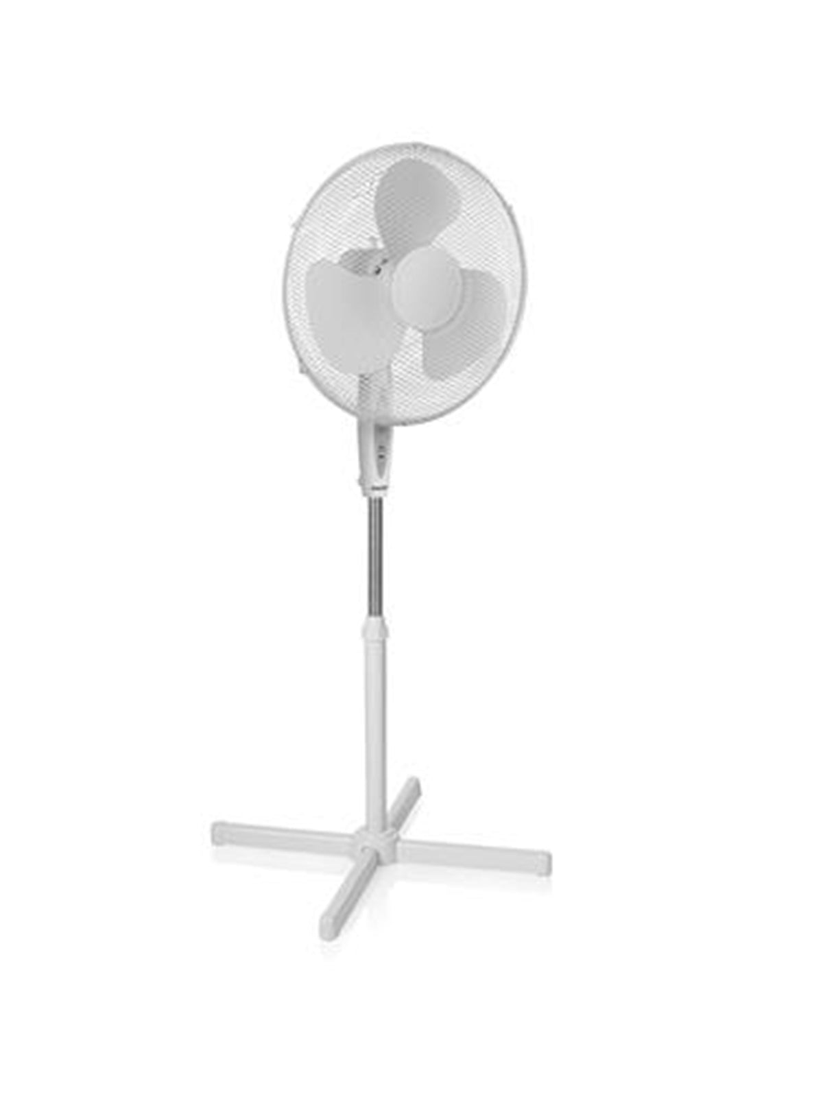 Image for Fan