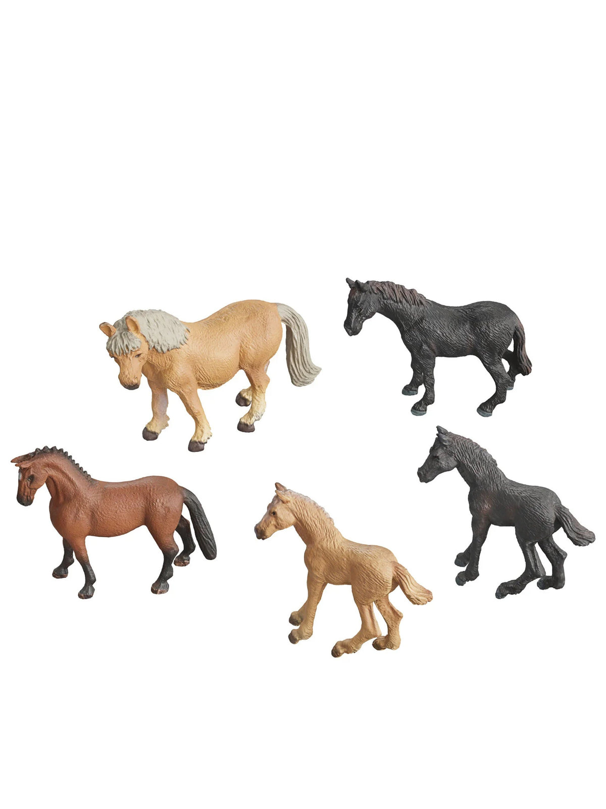 Image for Horses