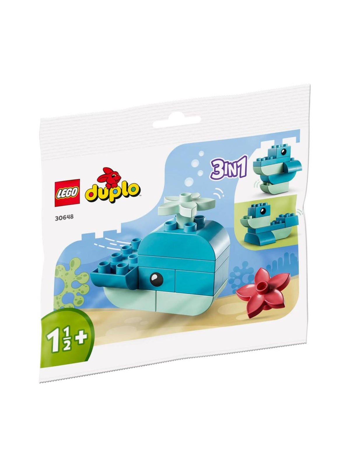 Image for Whale