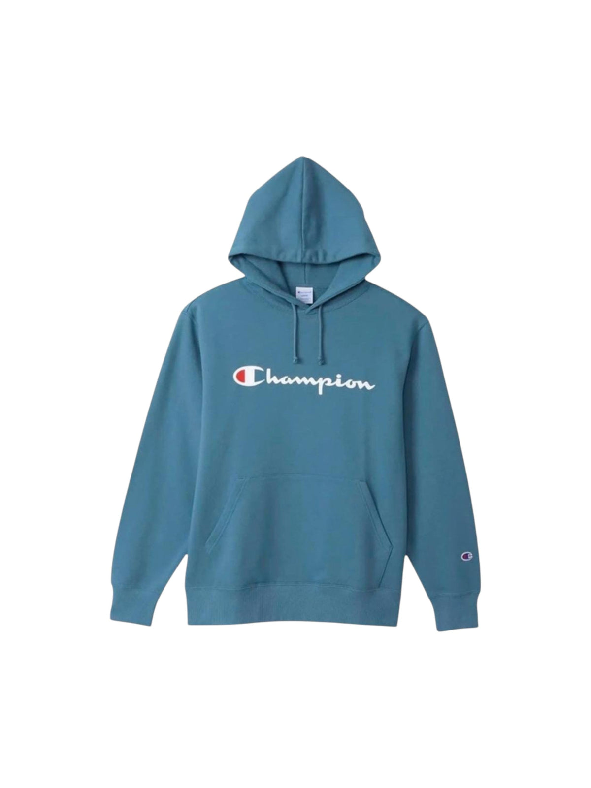 Image for Men's Brand Logo Printed Hoodie,Light Blue