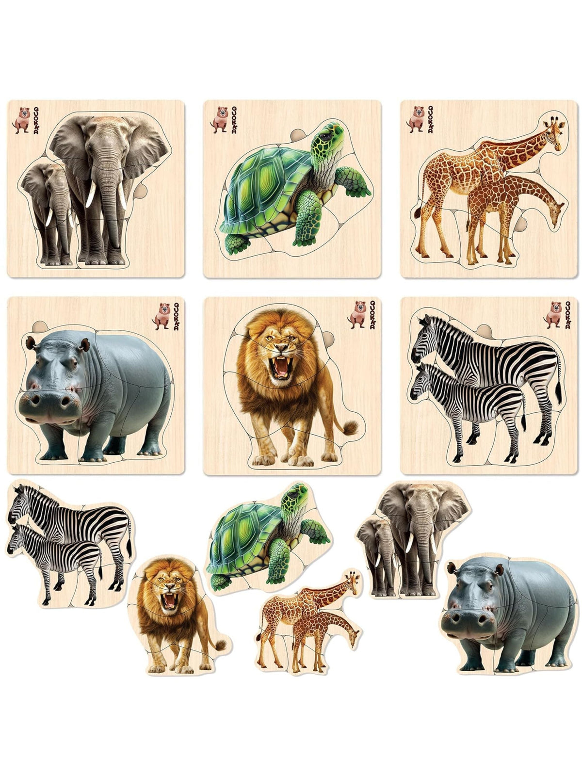Image for Realistic Wooden Puzzles