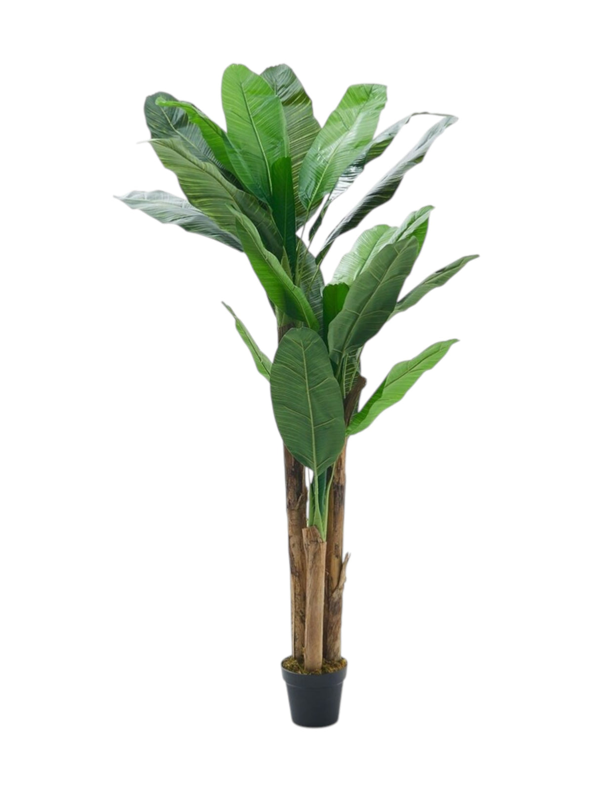 Image for Artificial Banana Leaf Plant