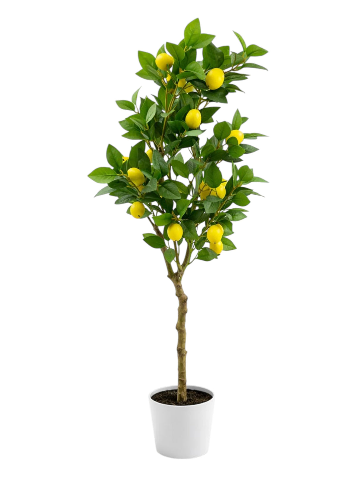 Image for Artificial Lemon Tree