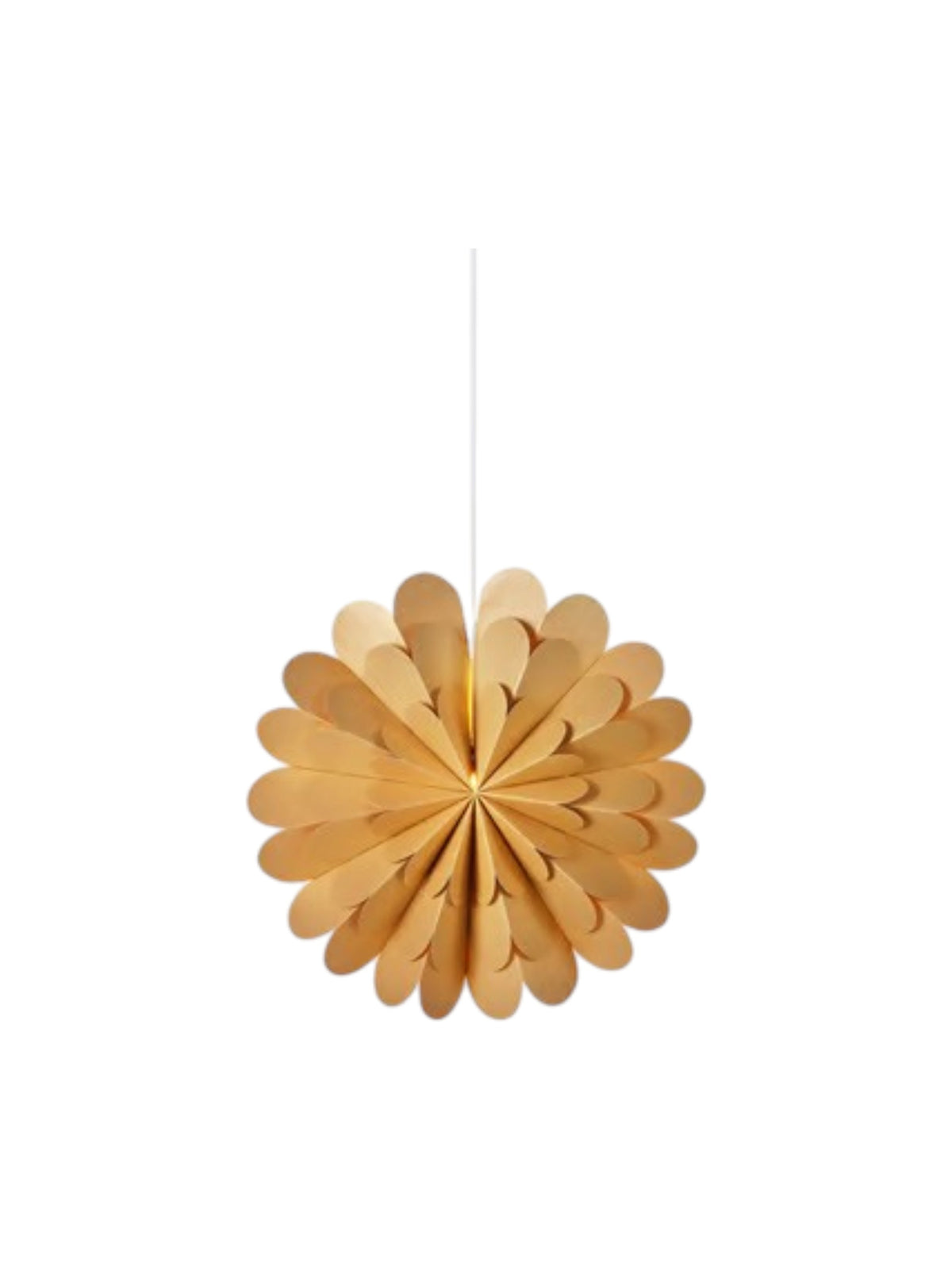 Image for Star