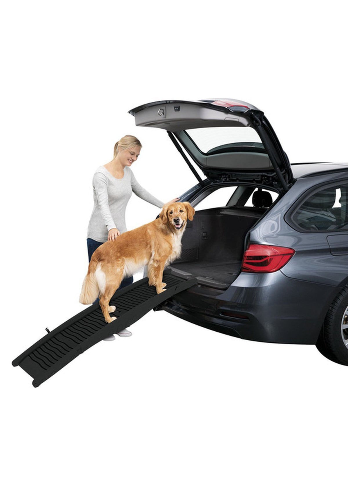 Dog Ramp