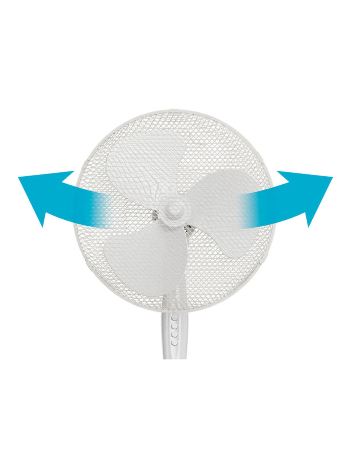 Pedestal Fan