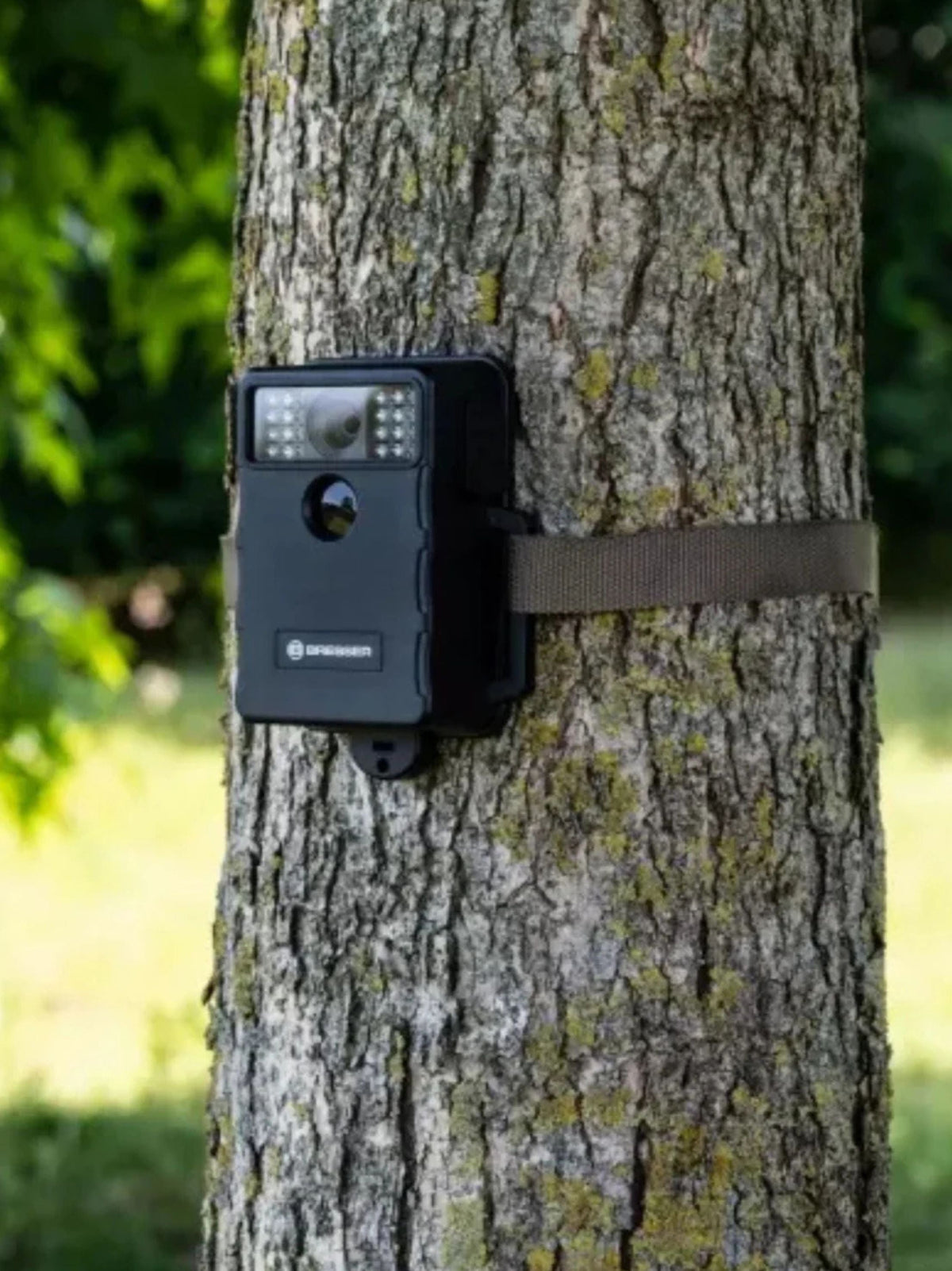 Wildlife Camera