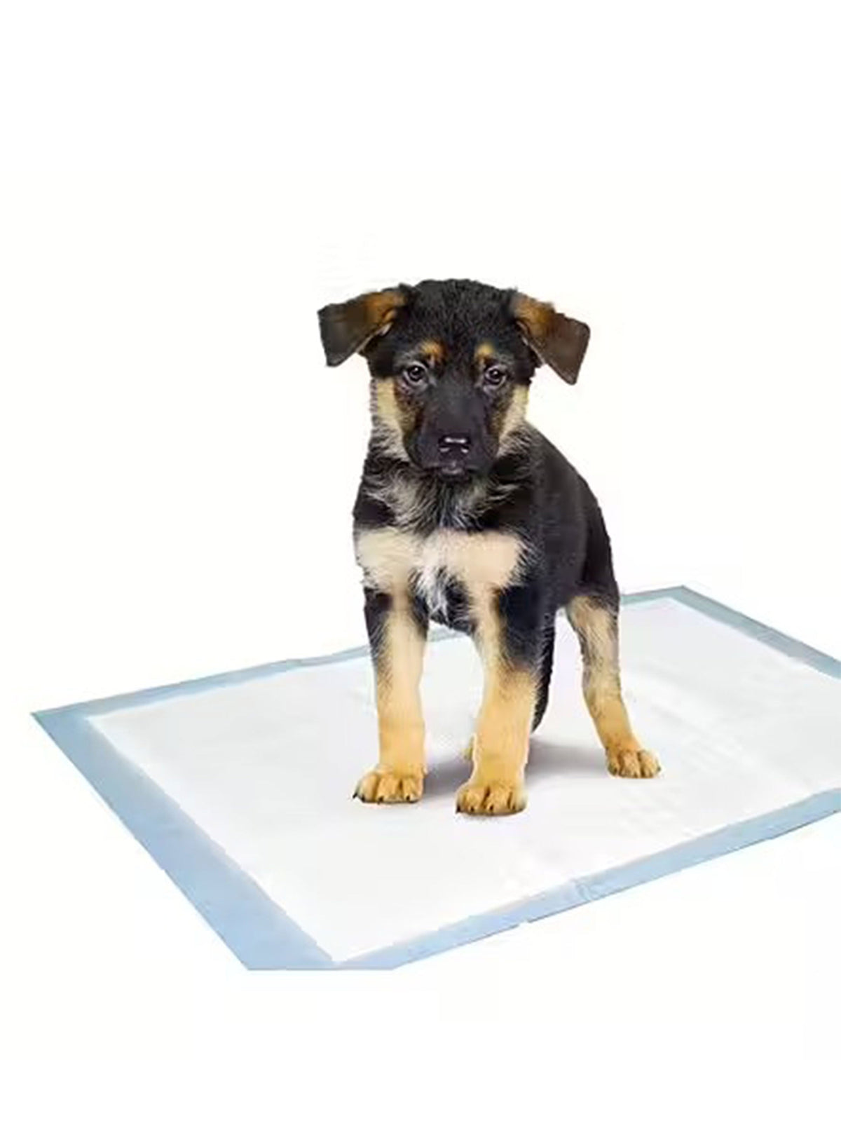 Image for Puppy Pads