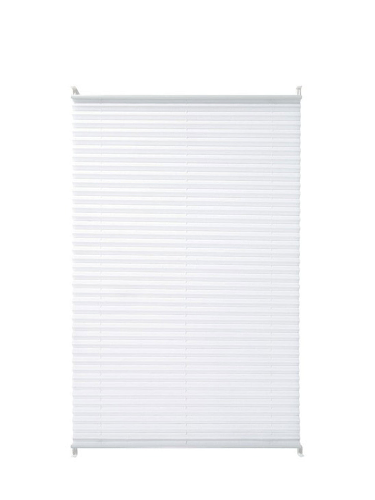 Window Blind