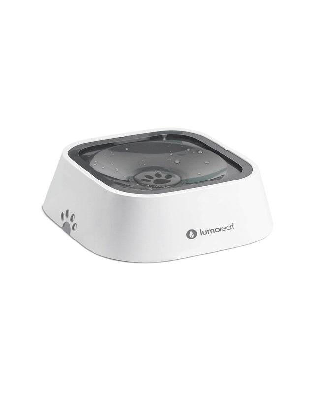 Image for No Spill Pet Bowl
