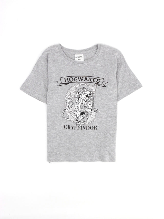 Image for Kids Boy Graphic Printed T-Shirt,Grey