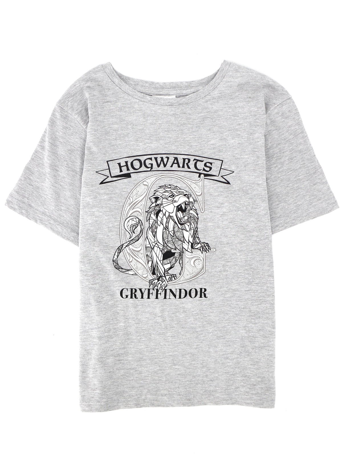 Image for Kids Boy Graphic Printed T-Shirt,Grey