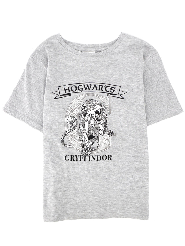 Image for Kids Boy Graphic Printed T-Shirt,Grey