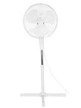 Image for Fan