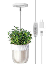 Image for Grow Light