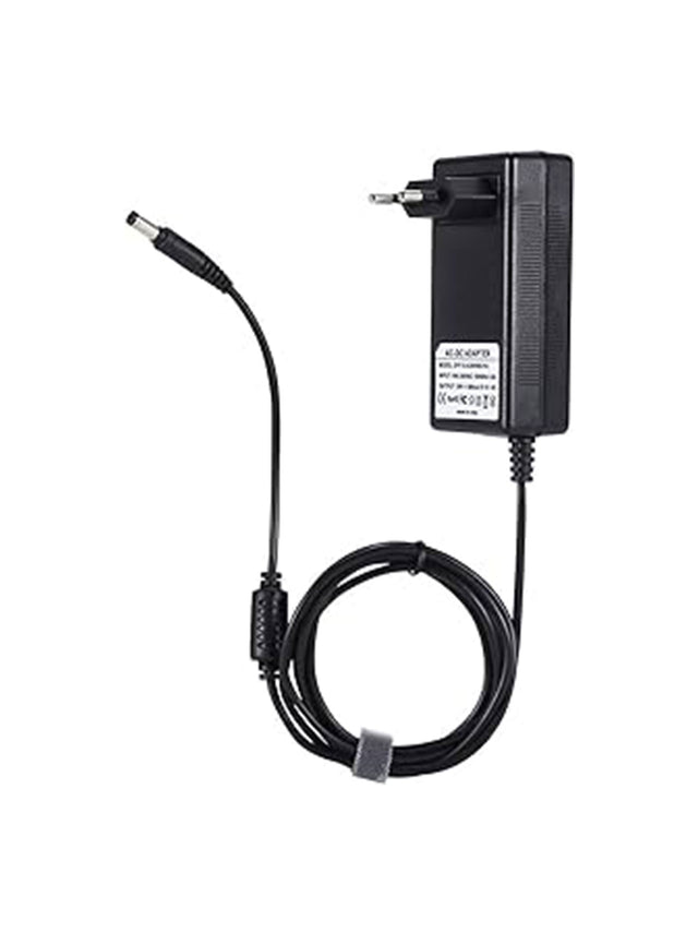 Image for Constant Voltage Charger