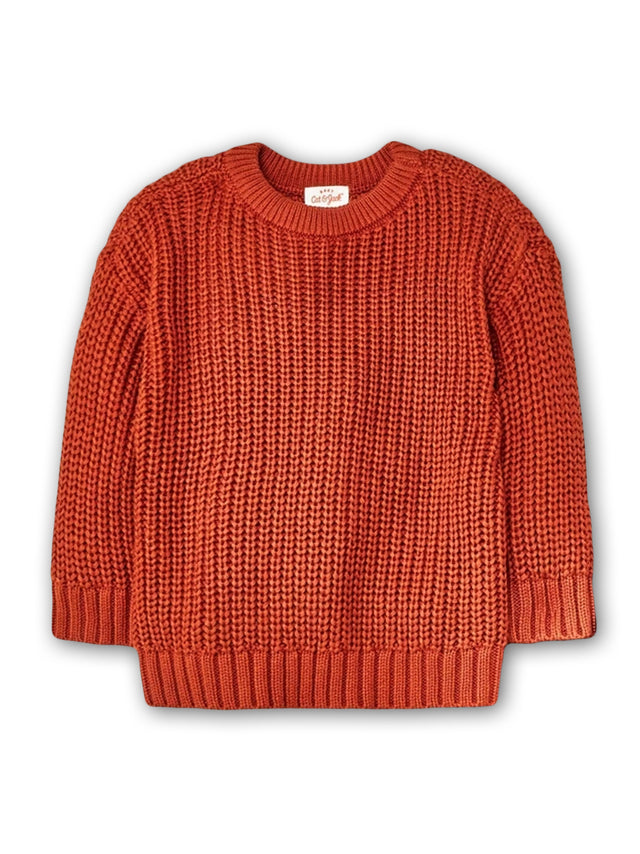 Image for Kids Girl's Chunky Sweater,Brown