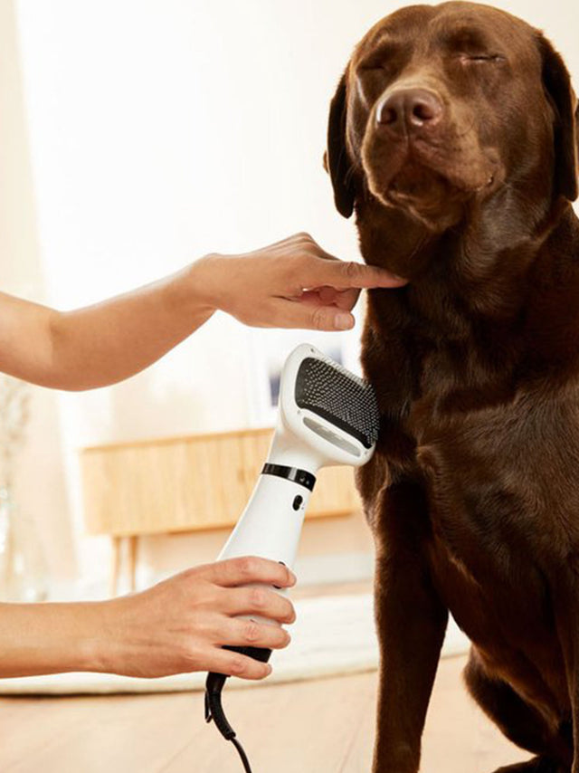 Image for Hair Dryer Brush
