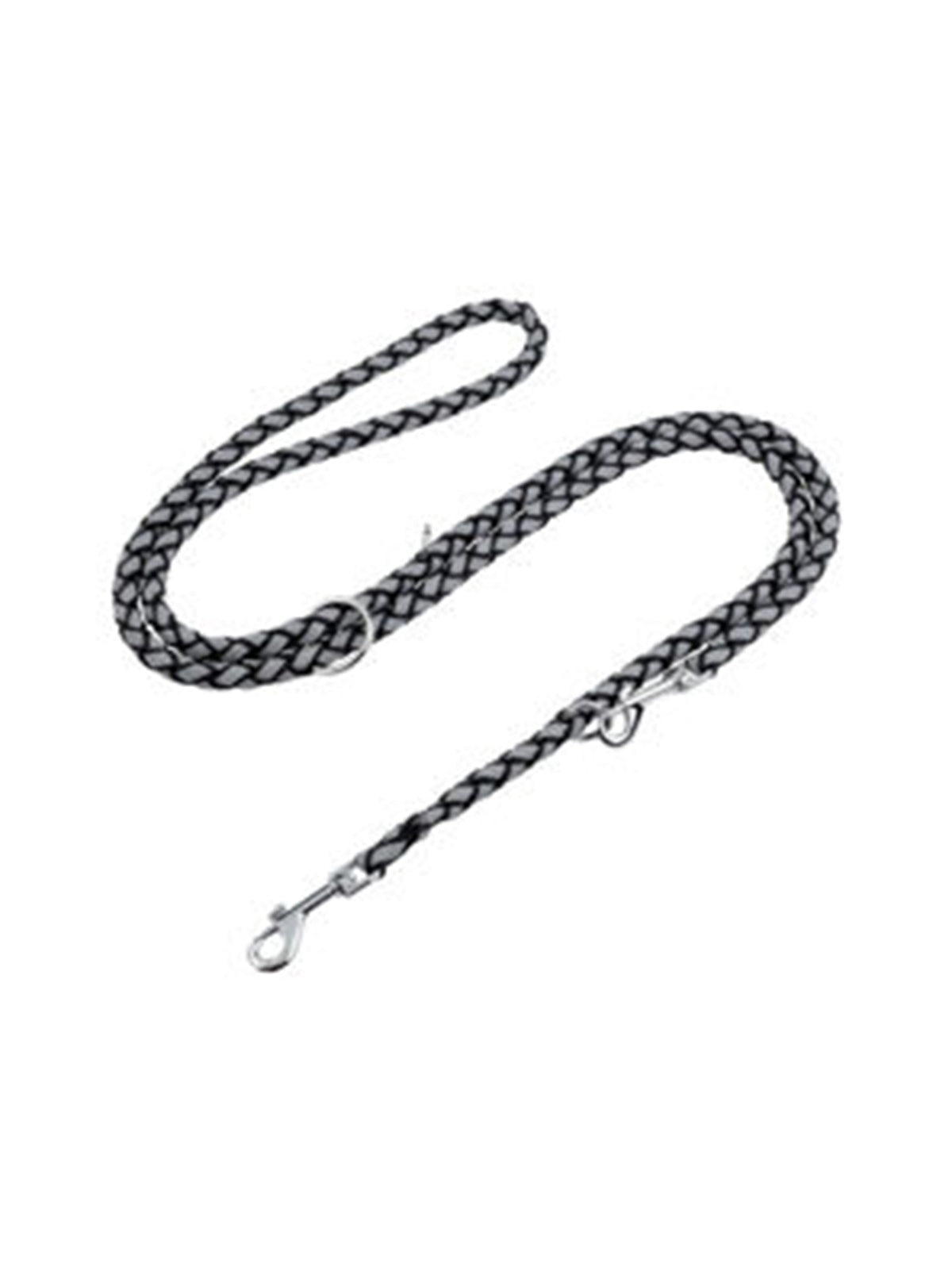 Image for Dog Leash