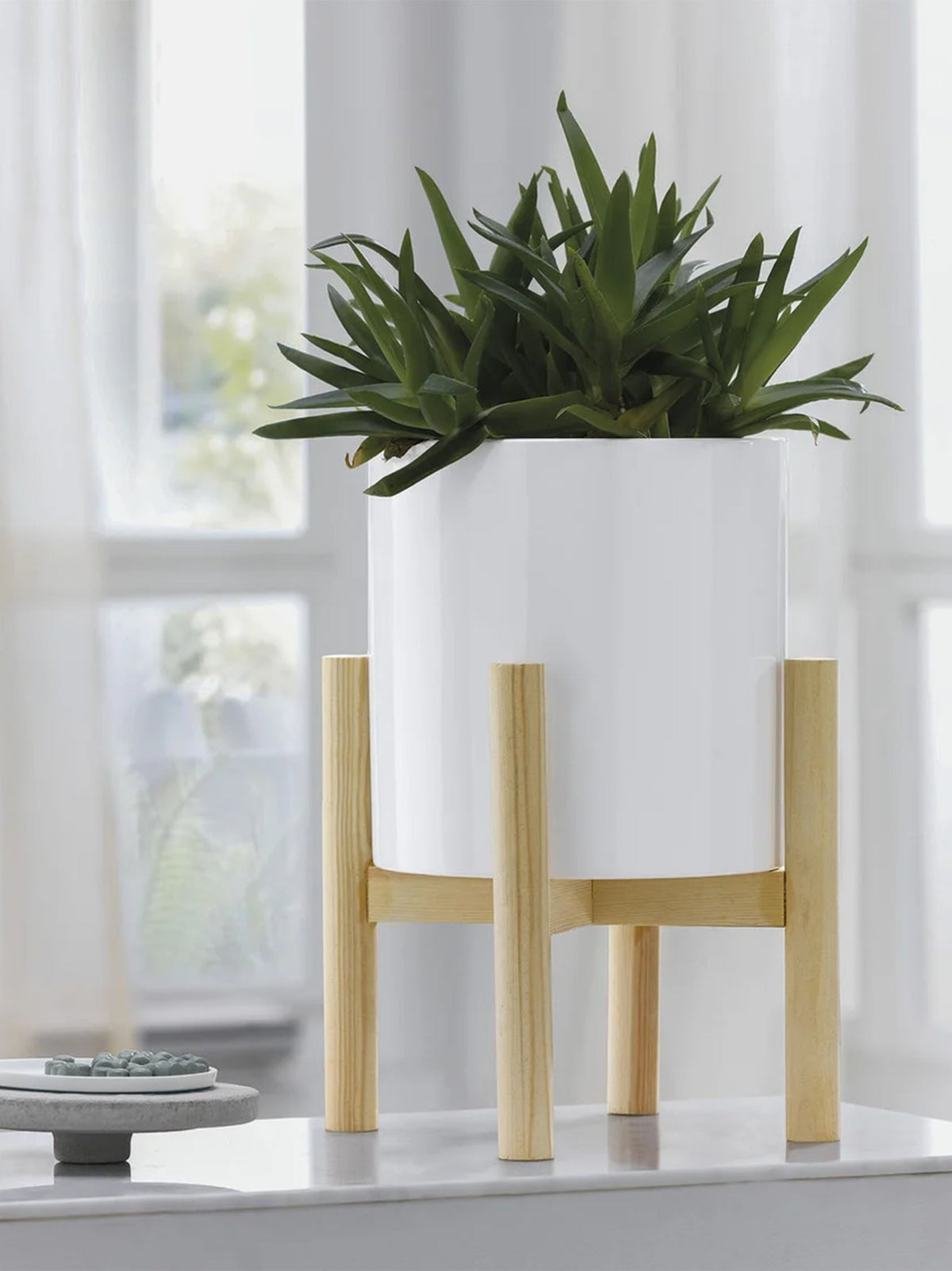 Image for Plant Pot