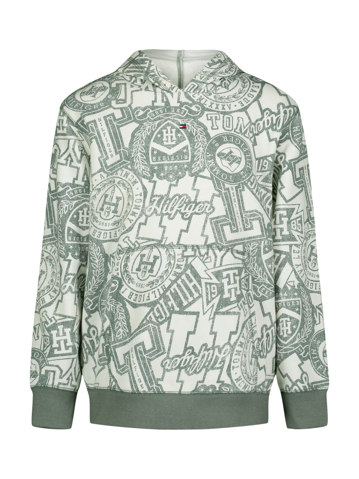 Image for Kids Boy's Printed Hoodie,White/Mint