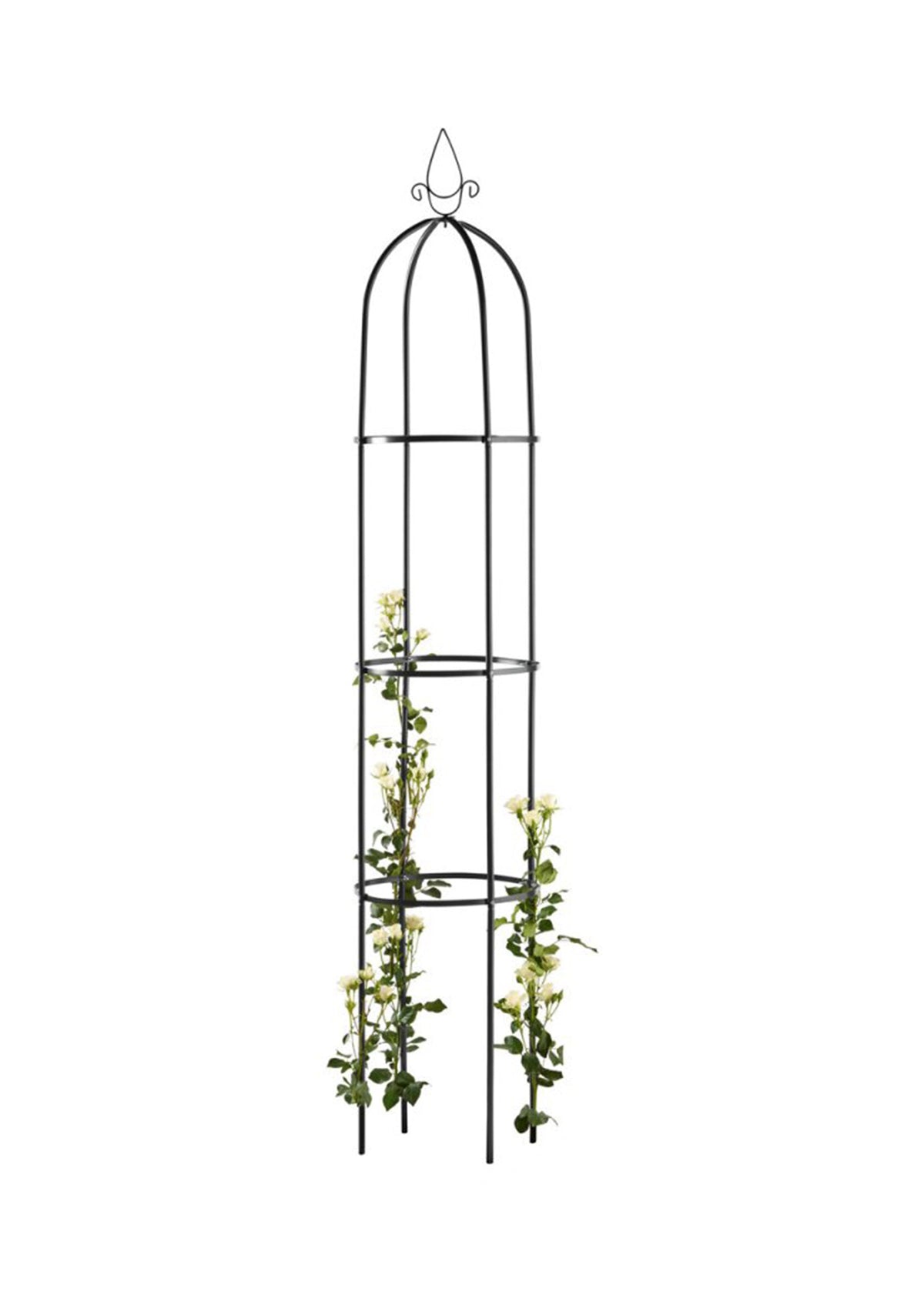 Image for Home Trellises