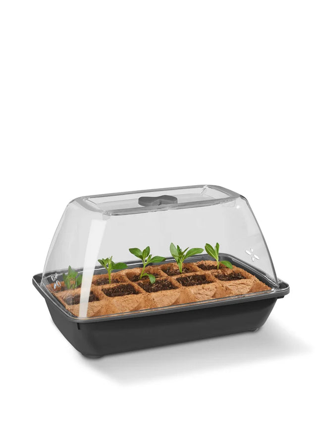 Image for Herb Propagator Set