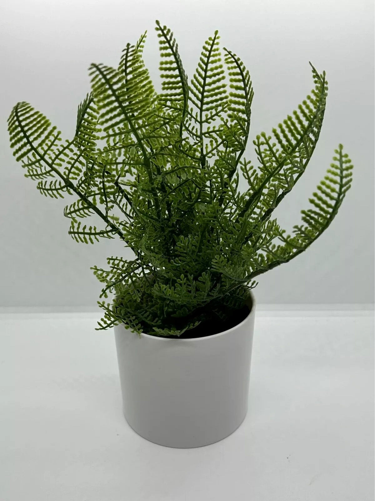 Image for Potted Faux Plant