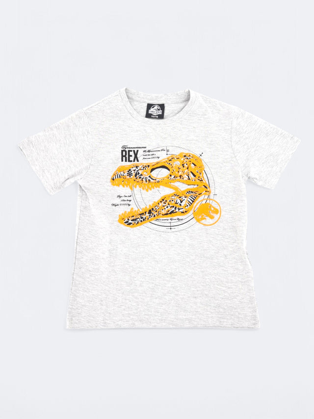 Image for Kids Boy's Graphic Printed T-Shirt,Grey