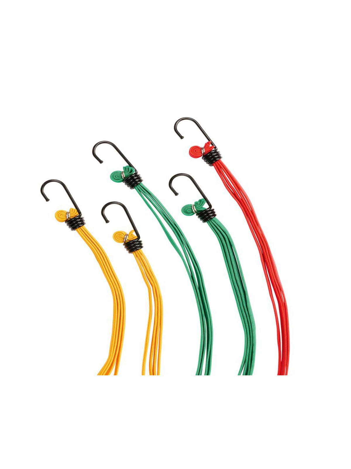 Image for Elastic Band