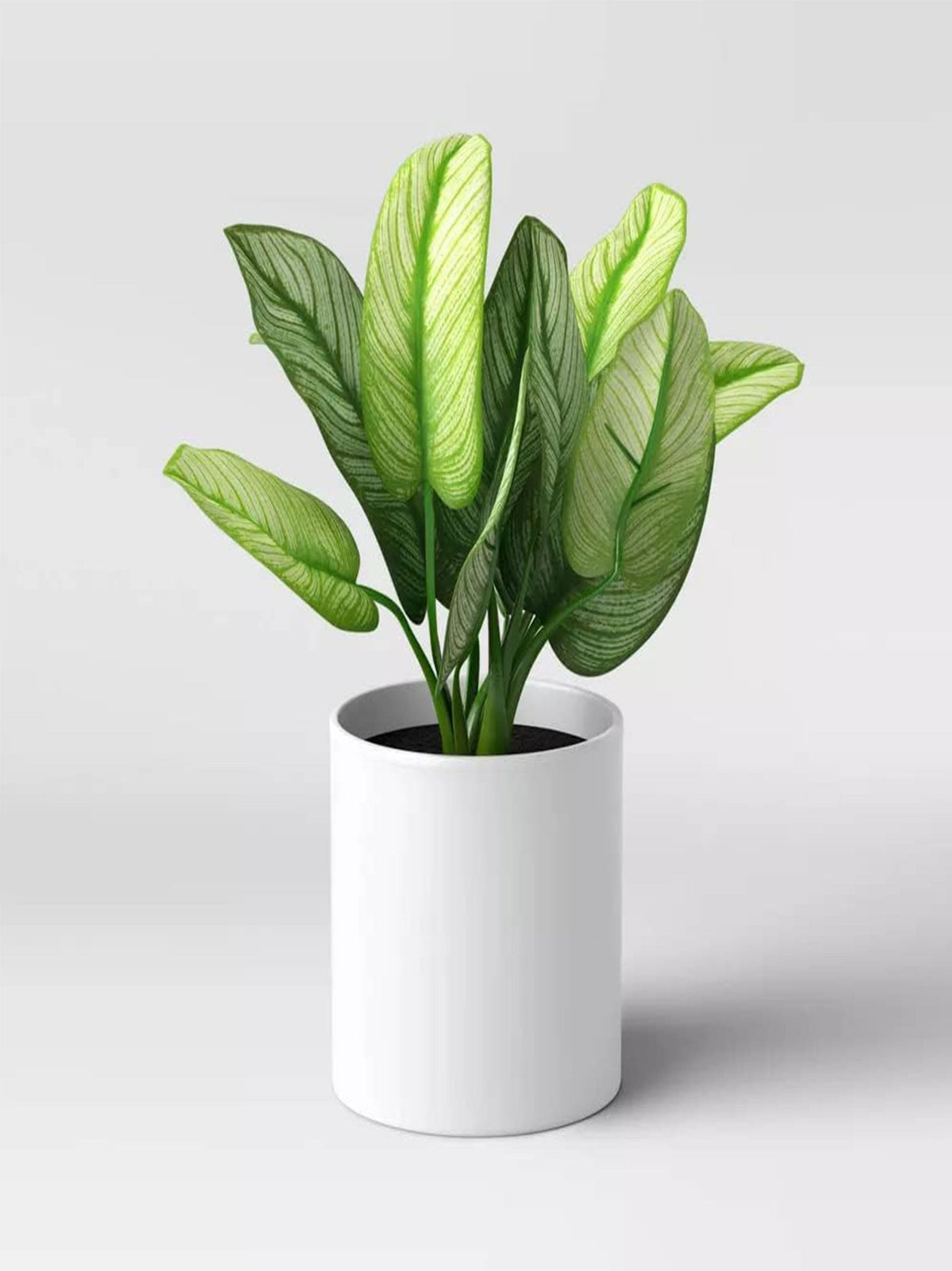 Image for Artificial Variegated