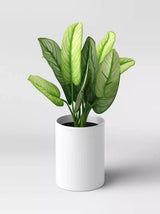 Image for Artificial Variegated
