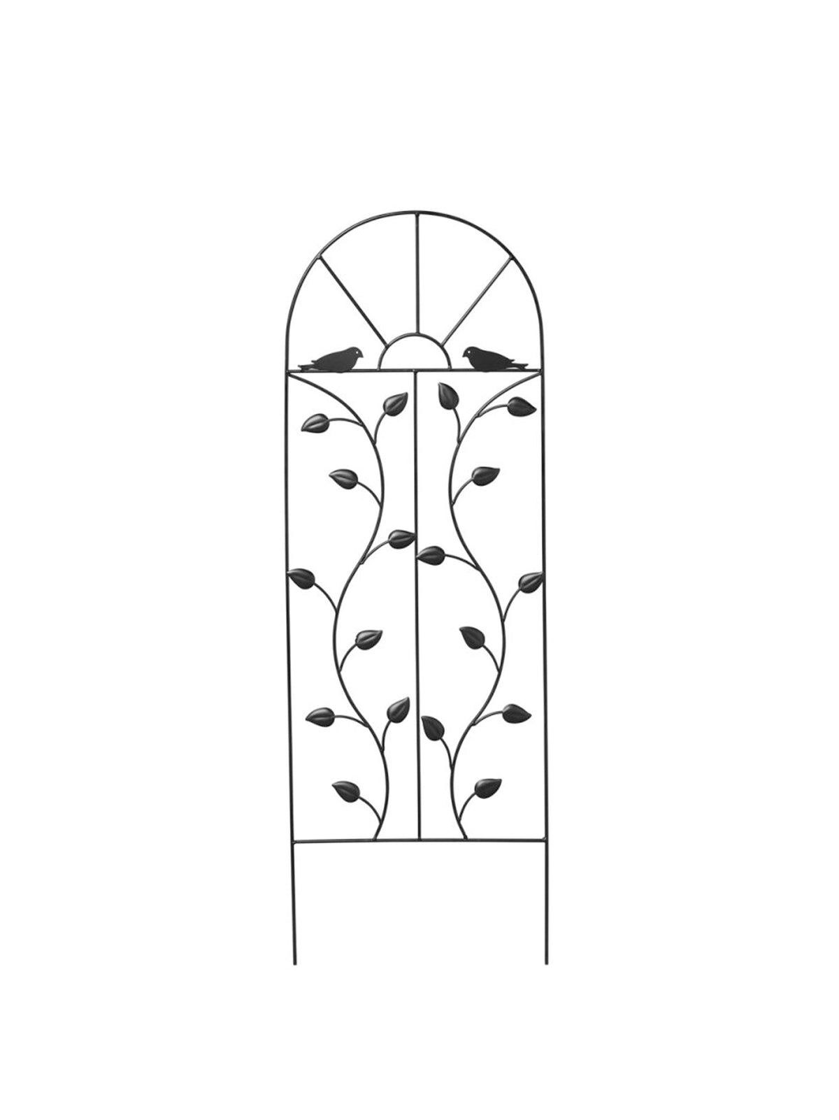 Image for Trellis For Climbing Plants