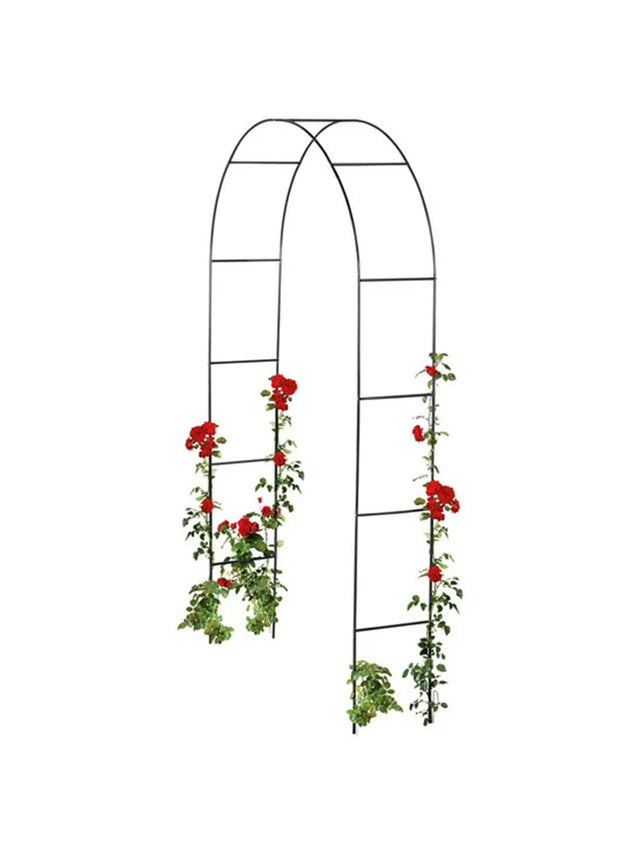 Image for Support For Climbing Plants
