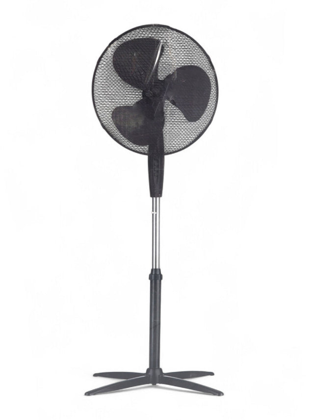 Image for Fan