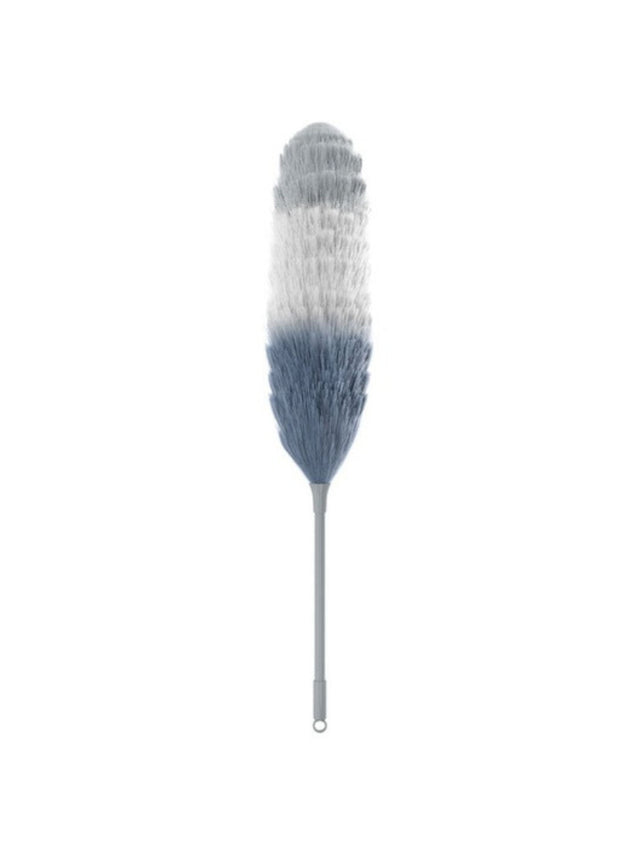 Image for Brush Dust Brush