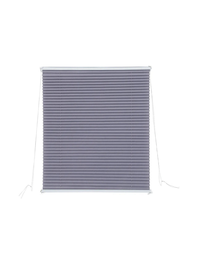 Image for Pleated Blind For Windows