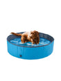 Image for Dog Pool