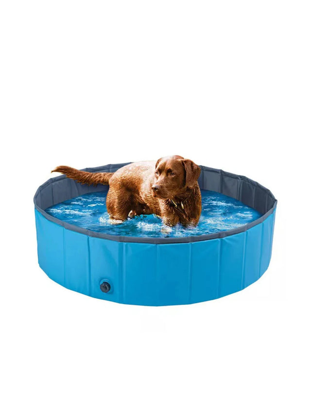 Image for Dog Pool