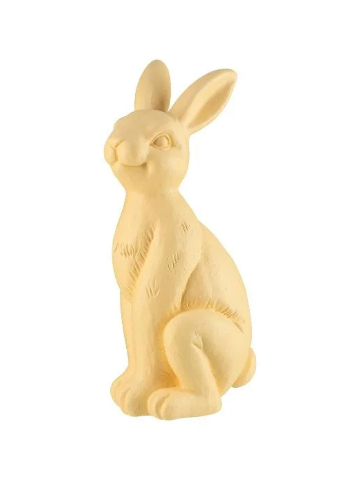 Image for Easter Bunny