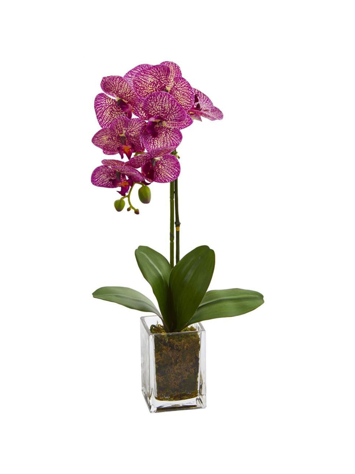 Image for Orchid Phalaenopsis Artificial Arrangement
