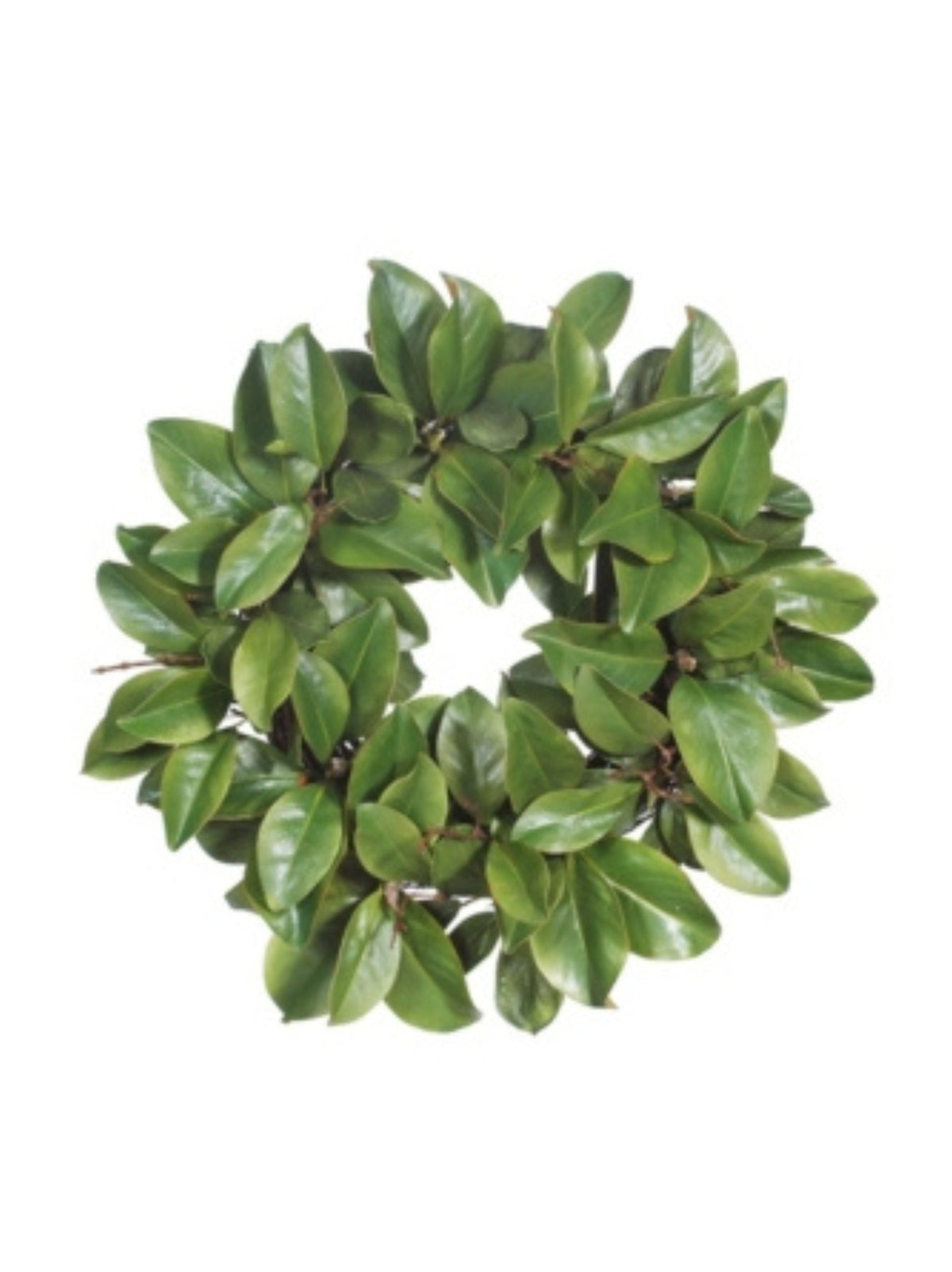 Image for Magnolia Leaf Twig Wreath