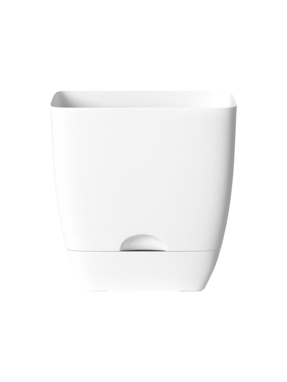 Image for Square Self-Watering