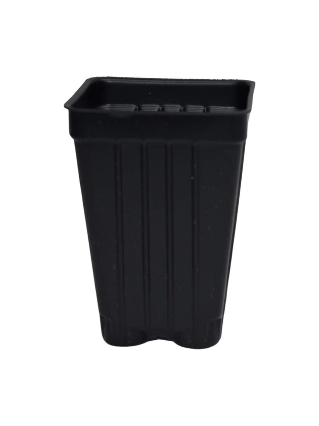Image for Garden Plant Pots