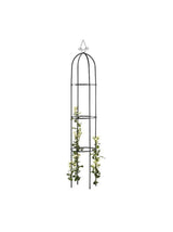 Image for Arch, Supports for Climbing Plants