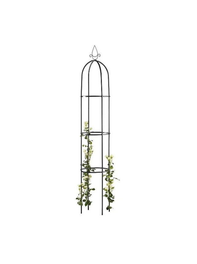 Image for Arch, Supports for Climbing Plants