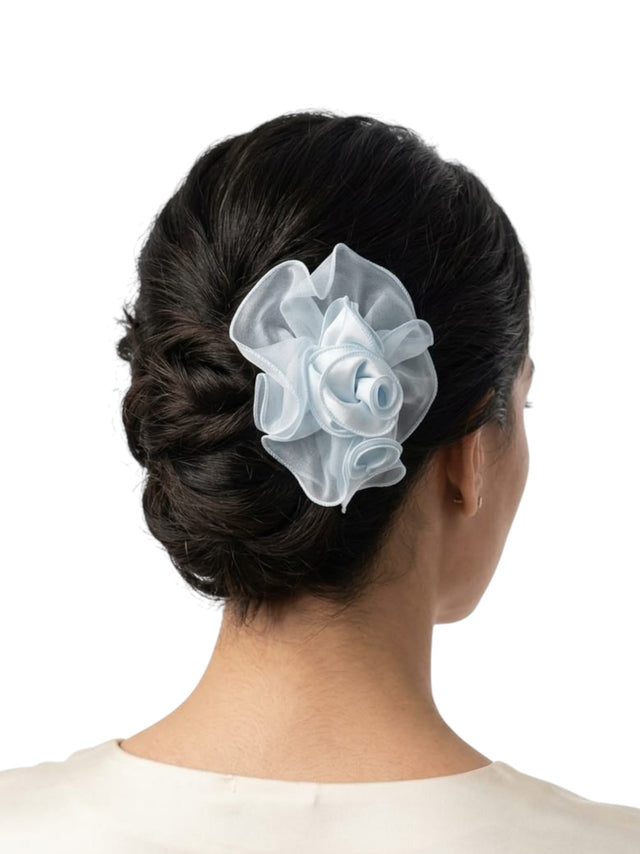 Image for Hair Clips