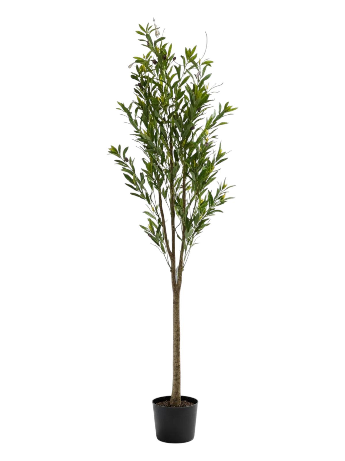 Image for Artificial Olive Tree